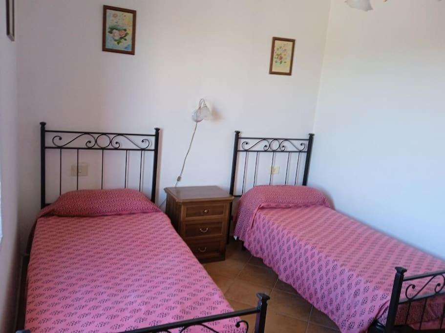 Casa Vacanze Il Pero 马西利亚纳 外观 照片